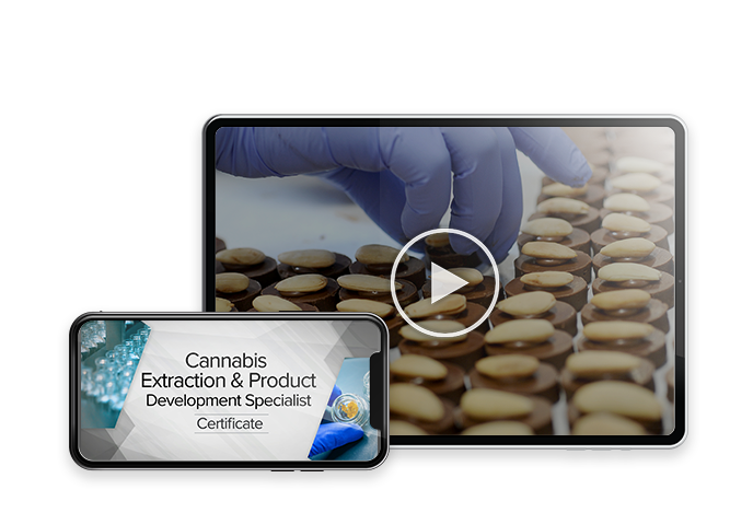 Cannabis Extraction and Product Development Specialist Certificate Webinar